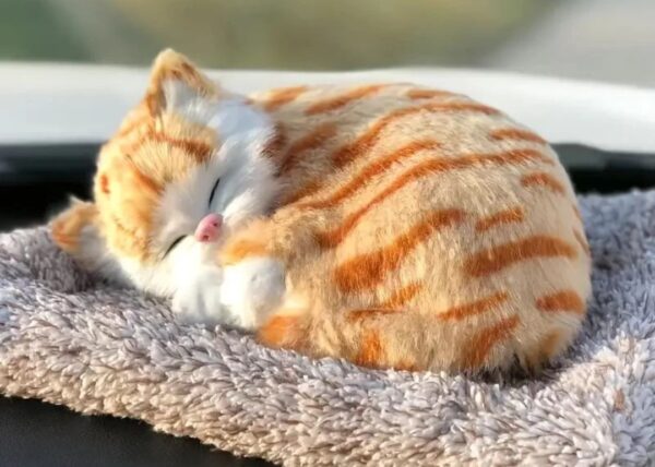 Sleeping Cat with Sound